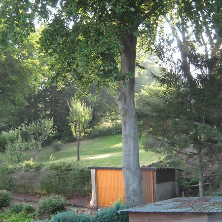 Ferienwohnung Sauerland Panorama コルバッハ エクステリア 写真