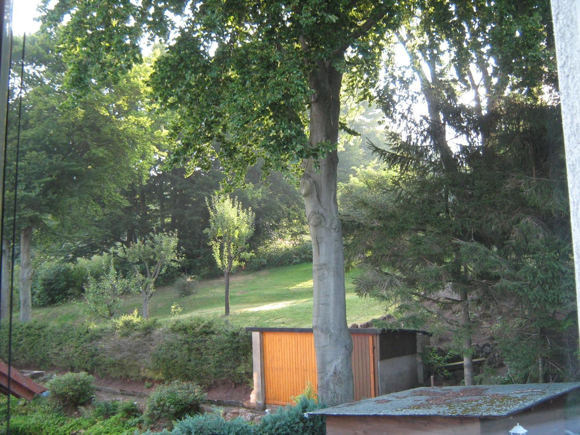Ferienwohnung Sauerland Panorama コルバッハ エクステリア 写真